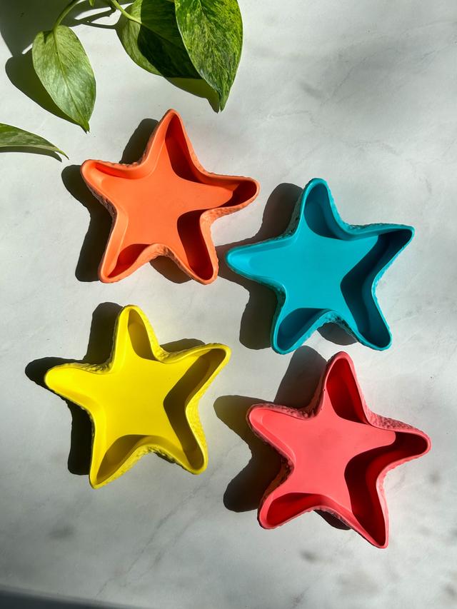 Starfish Dish