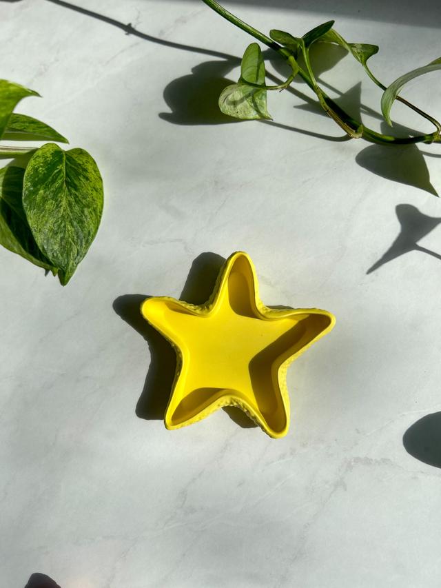 Starfish Dish